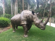 LS_20171229_134018 Rhino, Nairobi Art Collective, McKee Garden