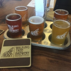 LS_20180327_154720 tasting at Walking Tree Brewery, Vero Beach FL